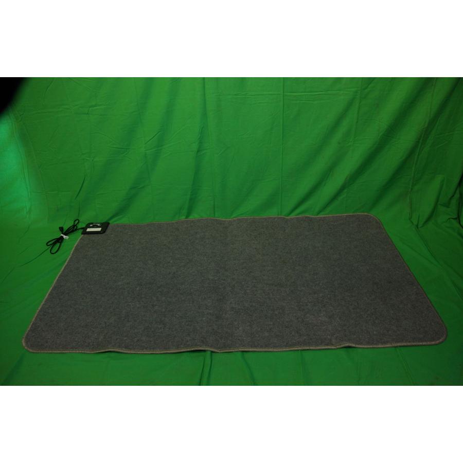 0644★電気カーペット 1畳　広電　ＶＷＣ１００３　収納性良好、スライド温度調整可能、ダニ掃除